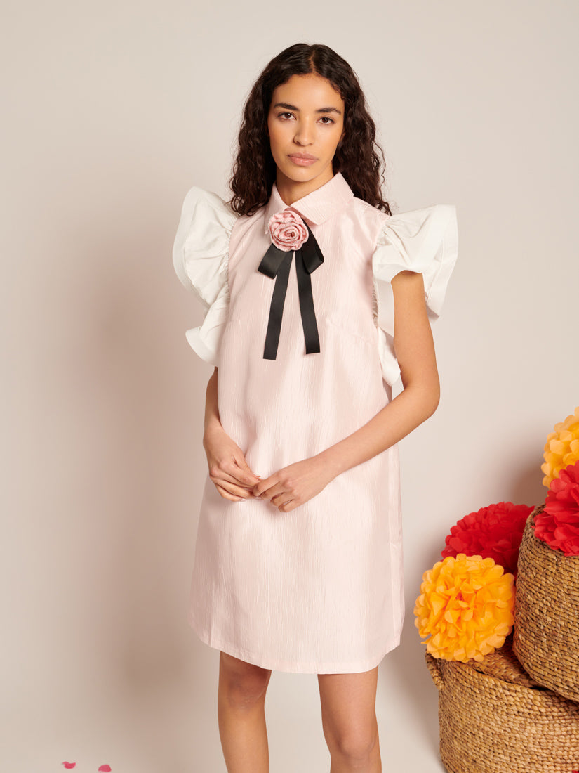 Delice Taffeta Mini Dress
