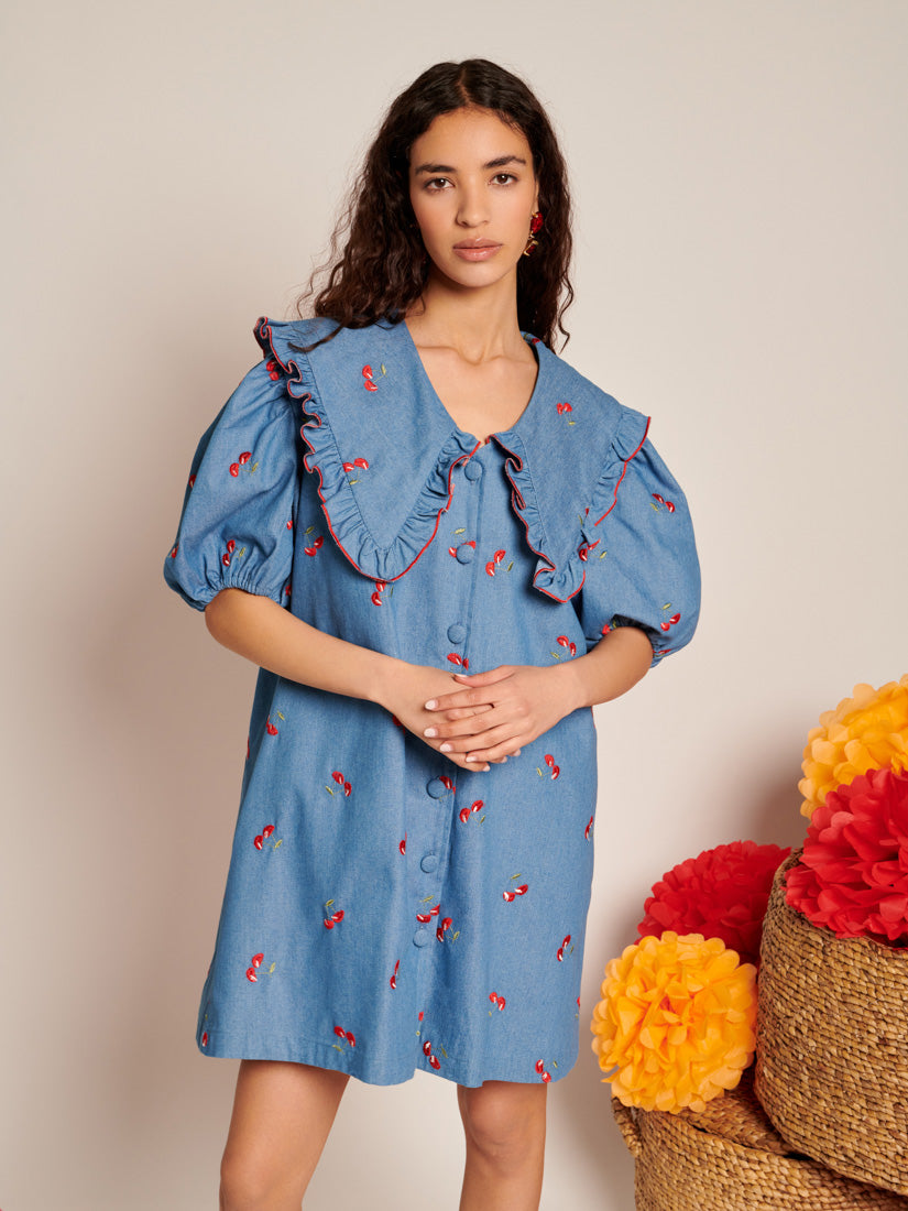 Lola Denim Mini Dress
