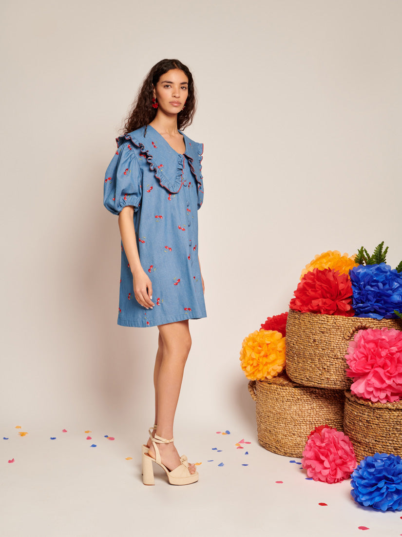 Lola Denim Mini Dress