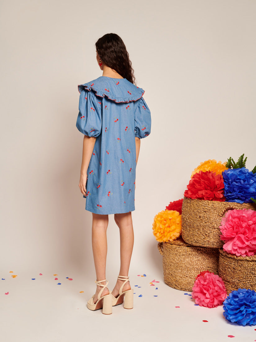 Lola Denim Mini Dress