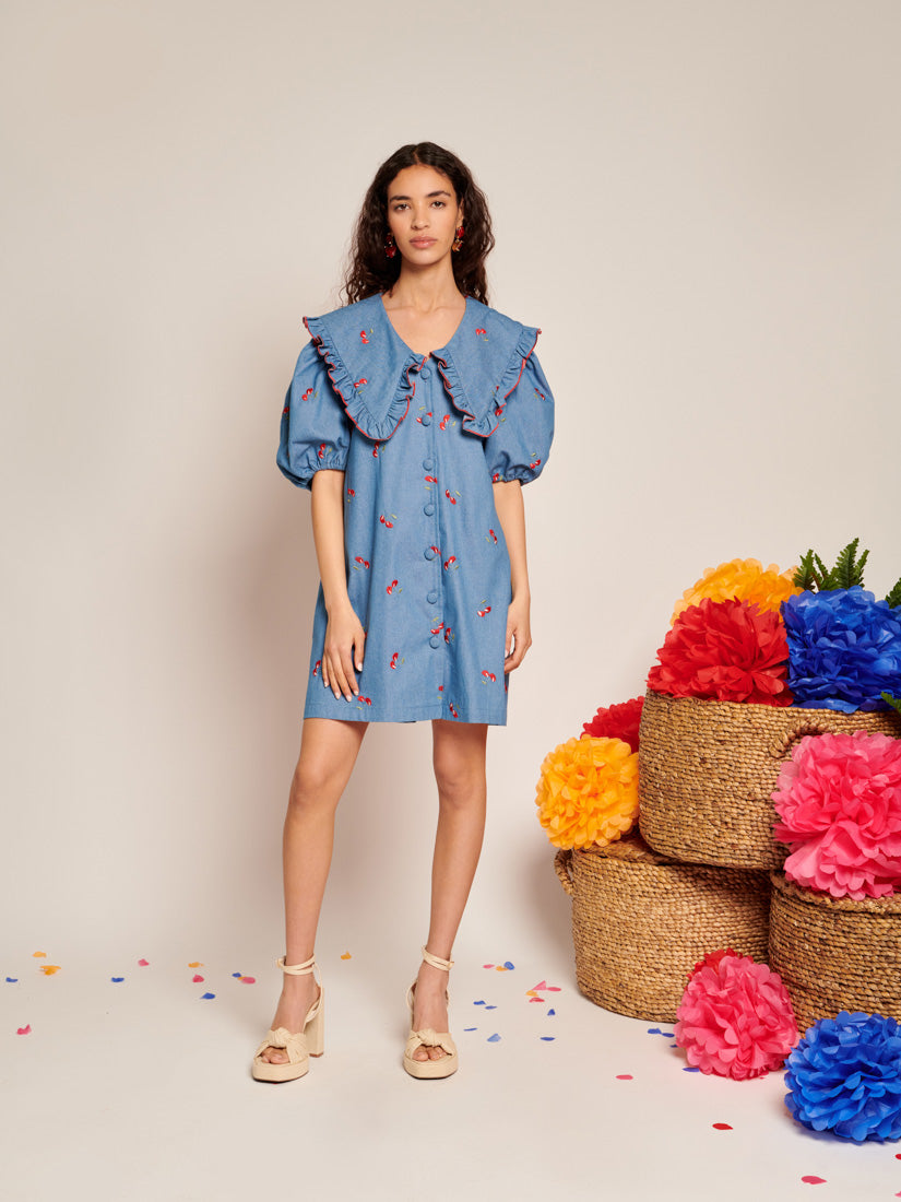 Lola Denim Mini Dress