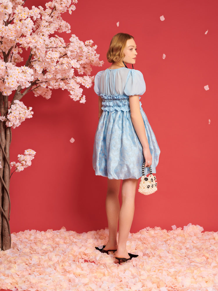 DREAM Brooke Organza Mini Dress