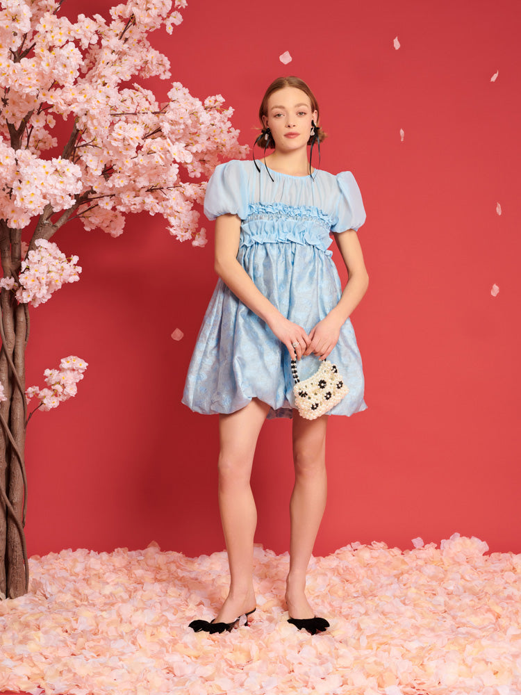 DREAM Brooke Organza Mini Dress